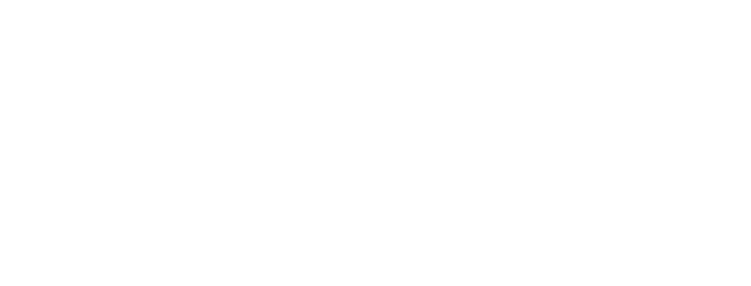 BCM Marketing - 360 Marketing Action Offline-online